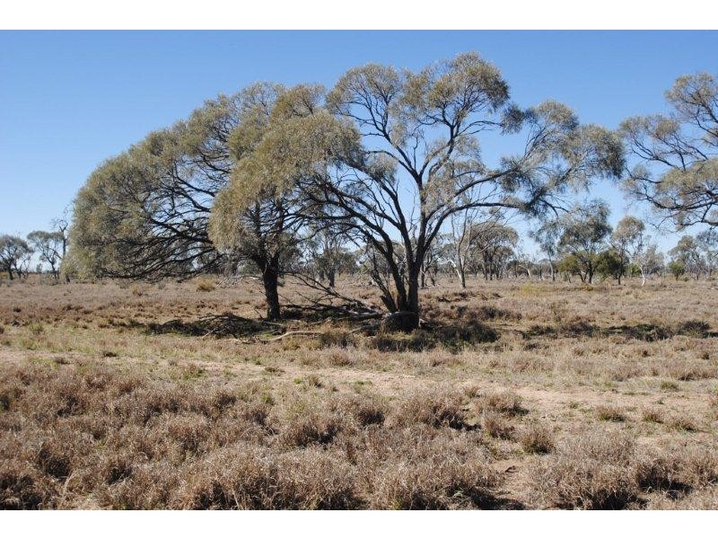 000 EVORA ROAD, Blackall QLD 4472