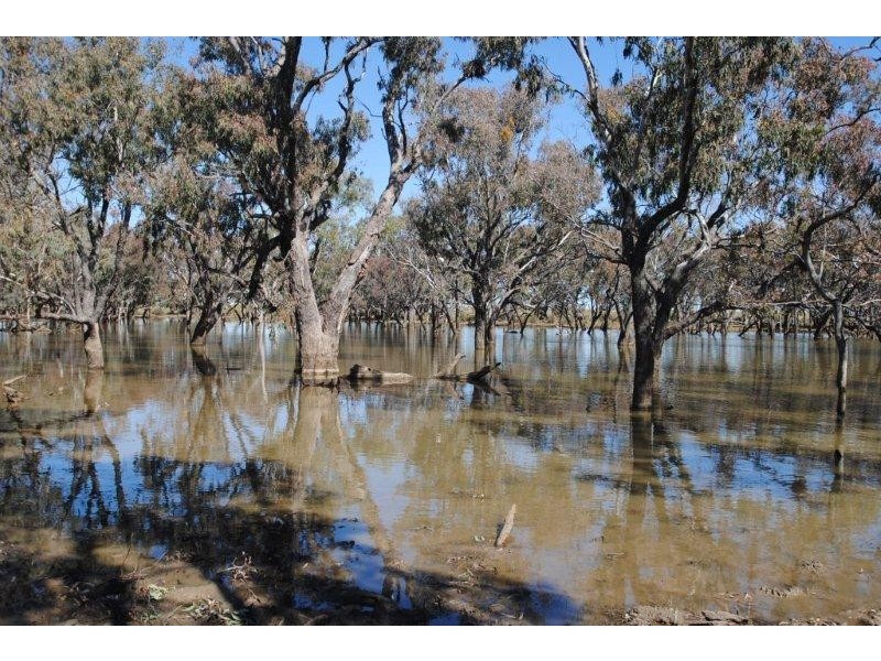 000 EVORA ROAD, Blackall QLD 4472