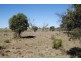 000 EVORA ROAD, Blackall QLD 4472