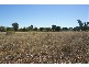 000 Landsborough Highway, Barcaldine QLD 4725