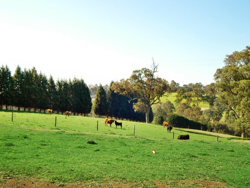 Kangaroo Ground VIC 3097