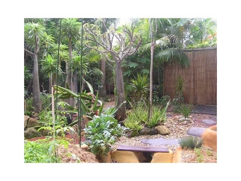 Nerang QLD 4211