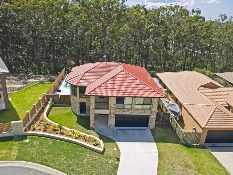 17 Cashew Court, Upper Coomera QLD 4209