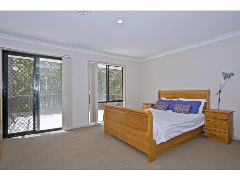 17 Cashew Court, Upper Coomera QLD 4209