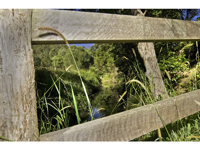 11 Piggots Road, Guanaba QLD 4210