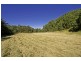 11 Piggots Road, Guanaba QLD 4210