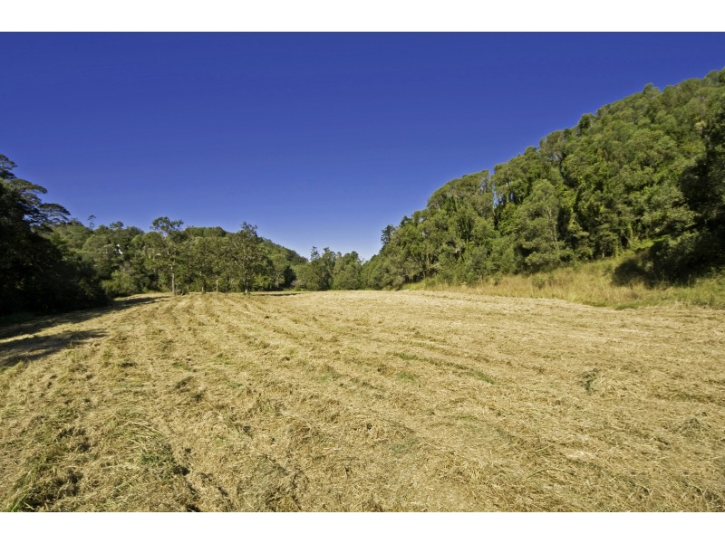 11 Piggots Road, Guanaba QLD 4210