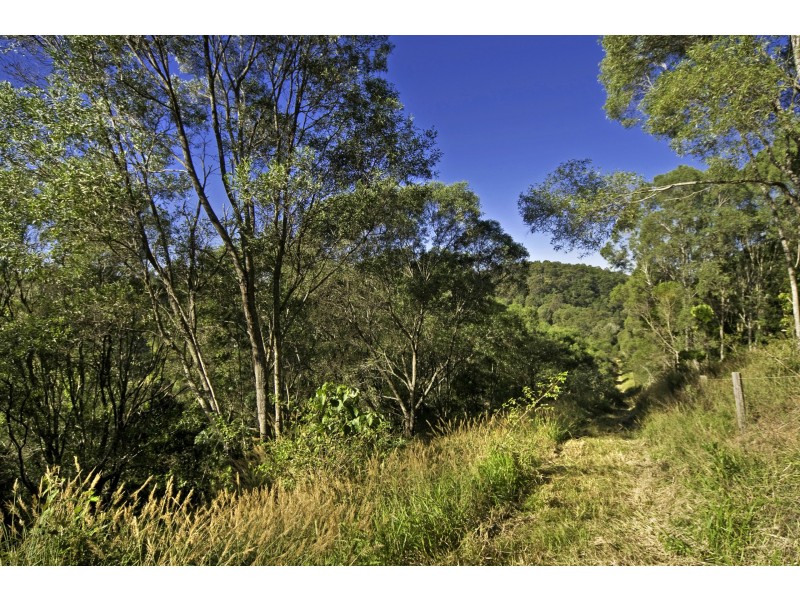 11 Piggots Road, Guanaba QLD 4210