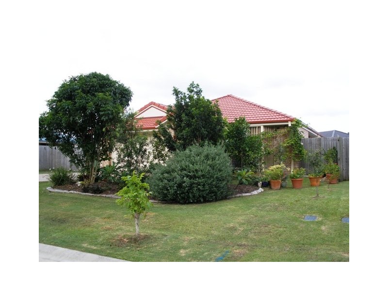 29 Merton Drive, Upper Coomera QLD 4209