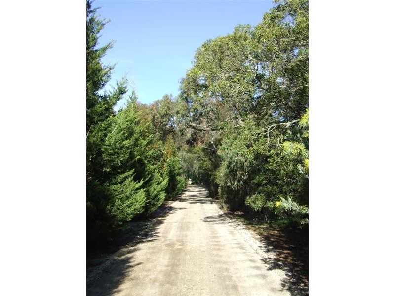 119 Briody Drive, Torquay VIC 3228