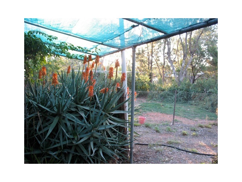 125 Grawin Opal Field, Walgett NSW 2832