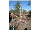 125 Grawin Opal Field, Walgett NSW 2832