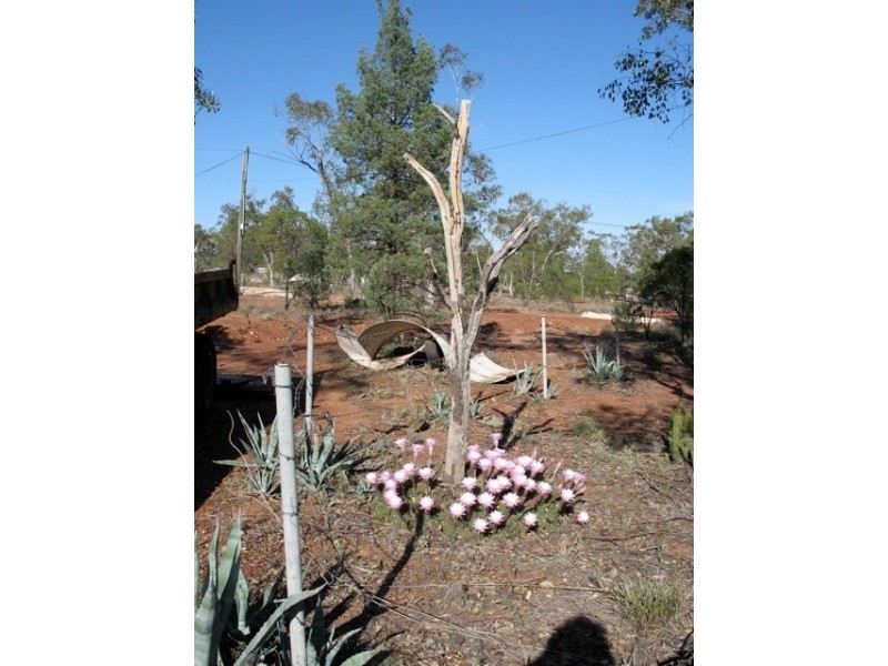125 Grawin Opal Field, Walgett NSW 2832