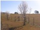 630 Silverdale Road, Orangeville NSW 2570