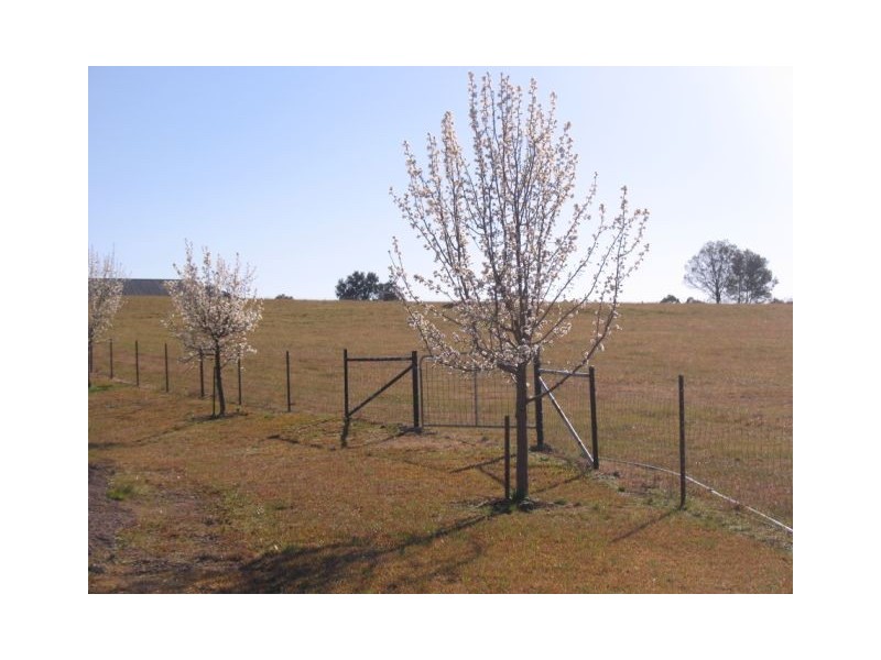 630 Silverdale Road, Orangeville NSW 2570