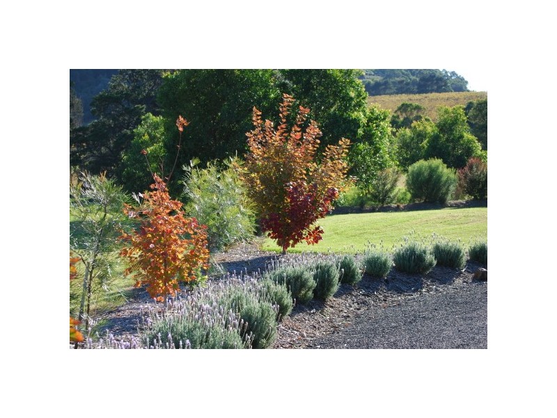 37 Andrews Way, Coolangatta NSW 2535