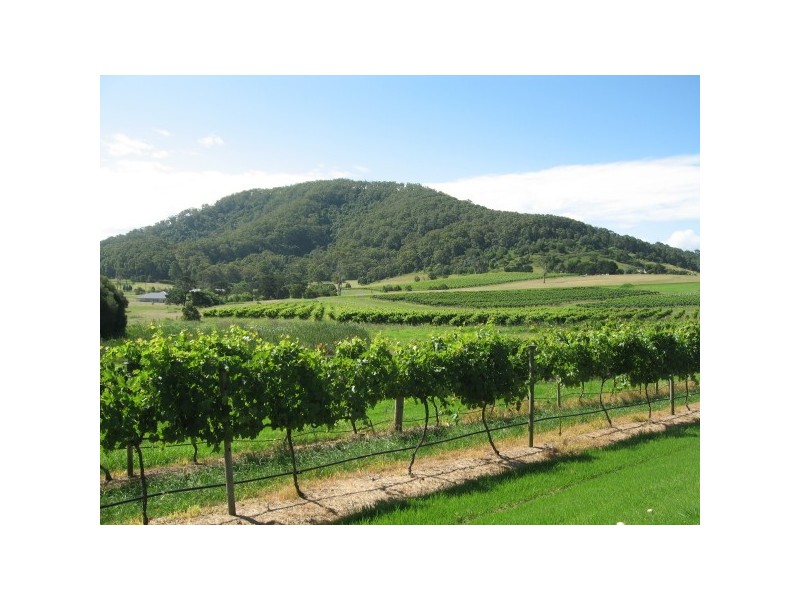 37 Andrews Way, Coolangatta NSW 2535