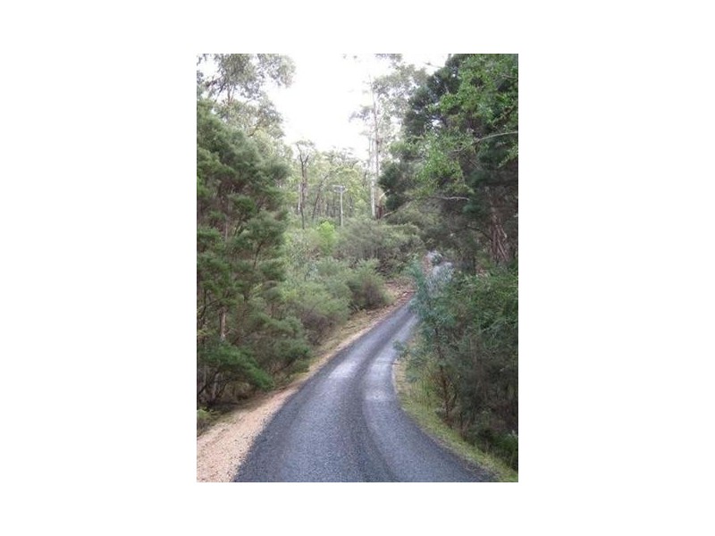 531 Binalong Bay Road, St Helens TAS 7216