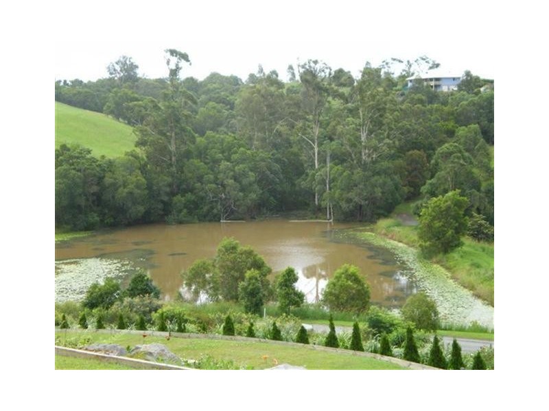 29 Flooded Gum Place, Black Mountain QLD 4563