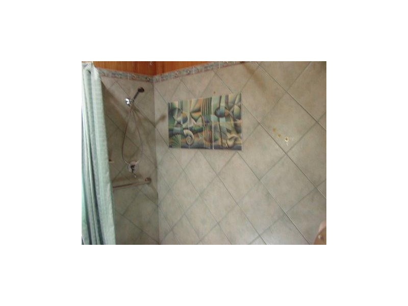 51 Colling Street, Balmoral QLD 4171