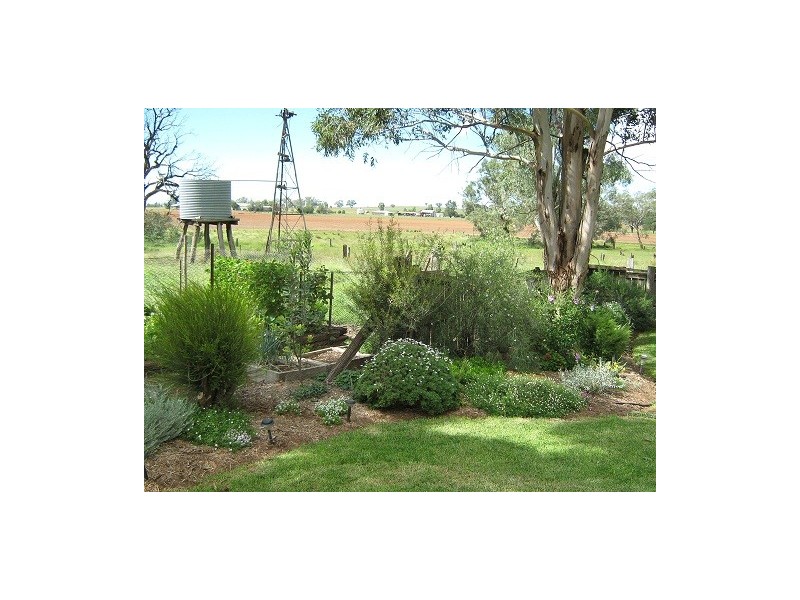 44 Bournewood Road, Yeoval NSW 2868