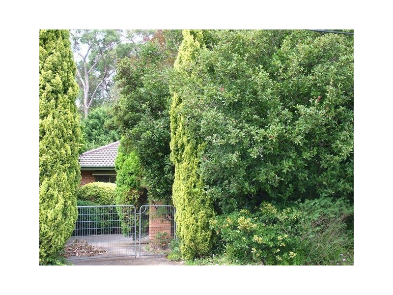 16 Russell Avenue, Valley Heights NSW 2777