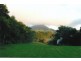 3572 Wingham Road, Comboyne NSW 2429