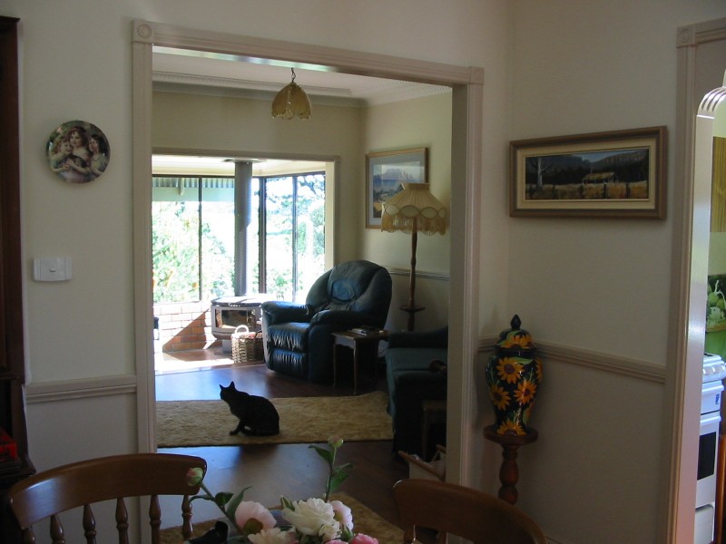 3572 Wingham Road, Comboyne NSW 2429