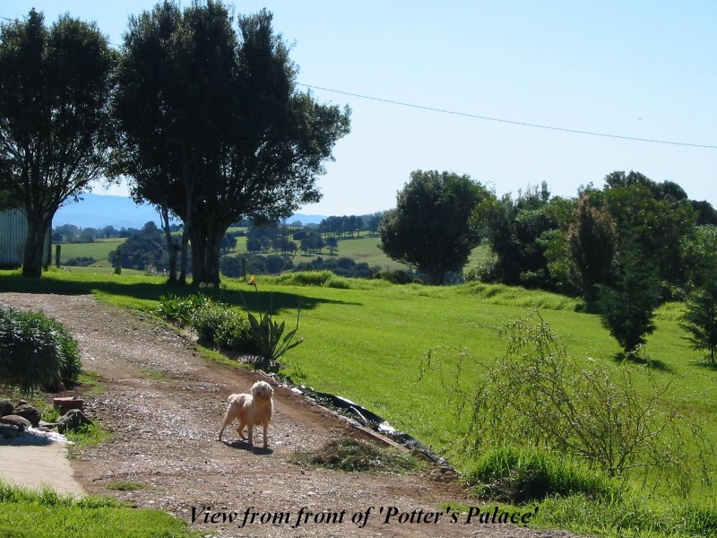 3572 Wingham Road, Comboyne NSW 2429