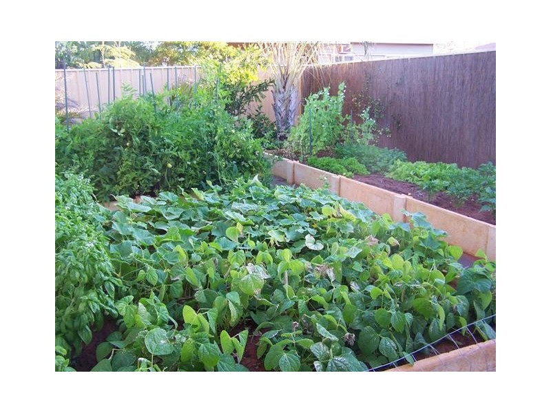 114 Paton Road, South Hedland WA 6722