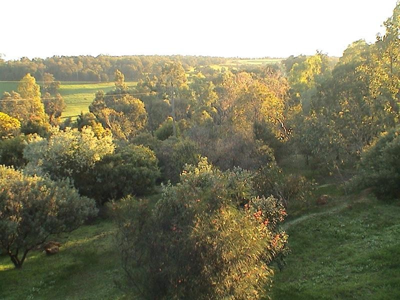 525 Nanga Brook Road, Waroona WA 6215