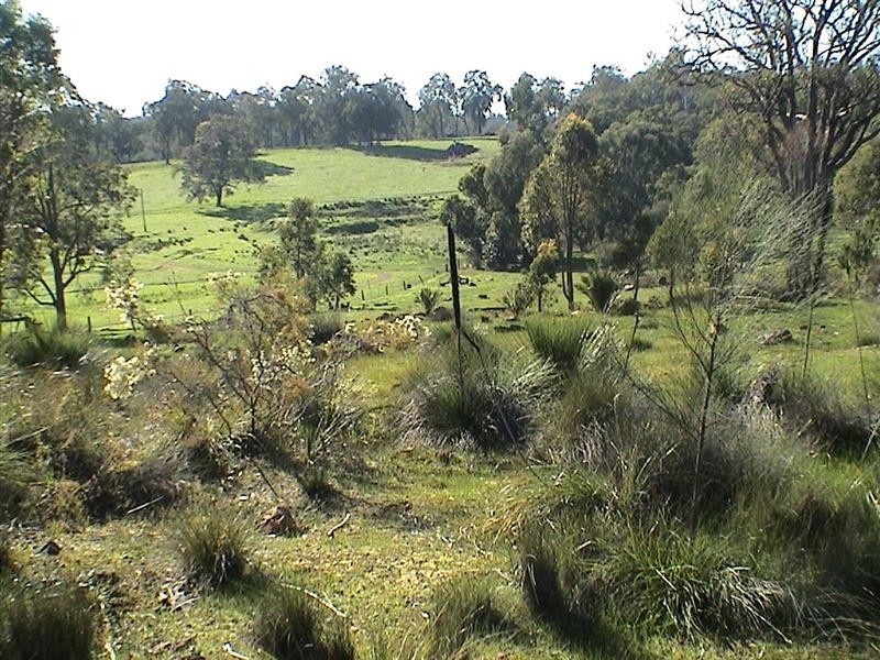 525 Nanga Brook Road, Waroona WA 6215