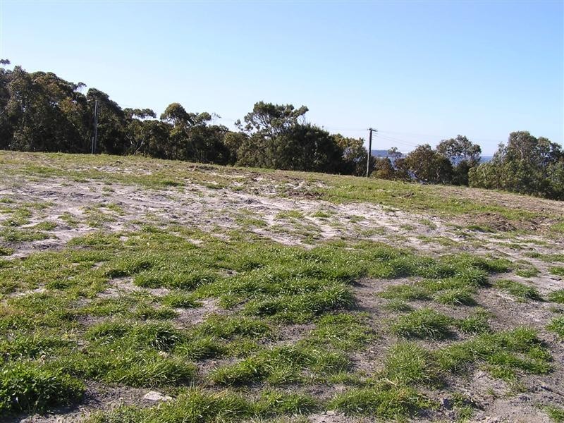 2 Ocean Street, Dudley NSW 2290