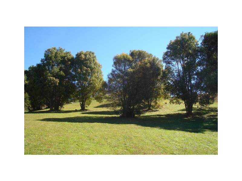 1 Henderson Place, Modanville NSW 2480