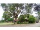 685 Anambah Road, Maitland NSW 2320