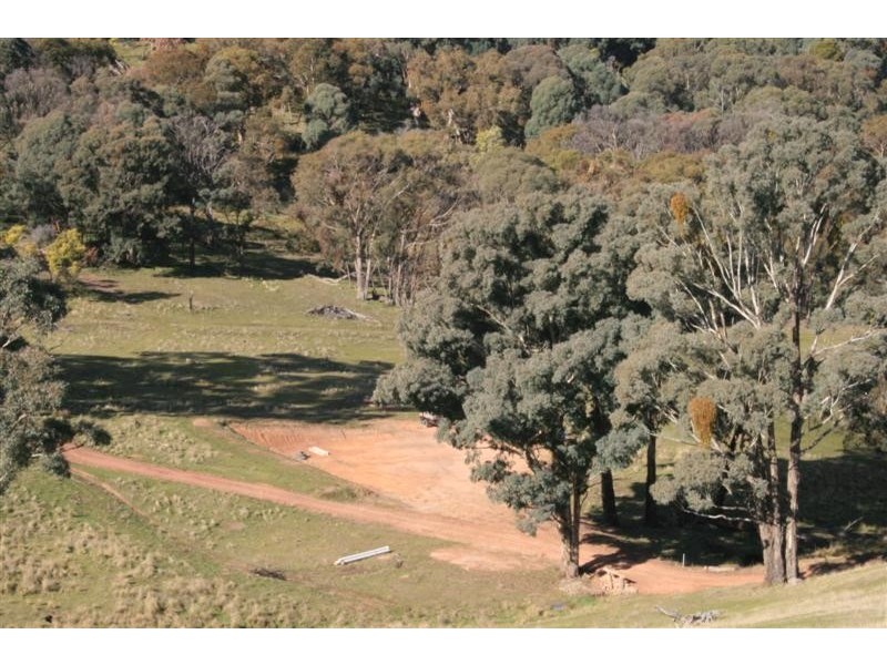 Mansfield VIC 3722