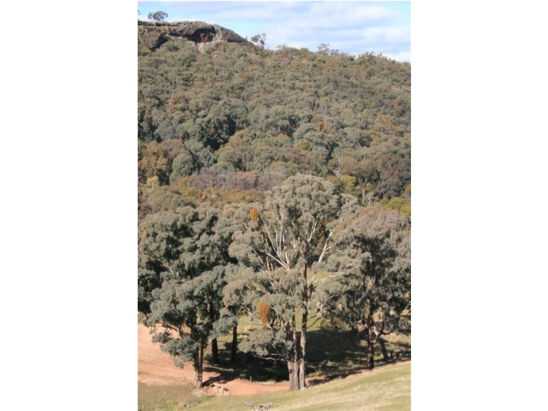 Mansfield VIC 3722