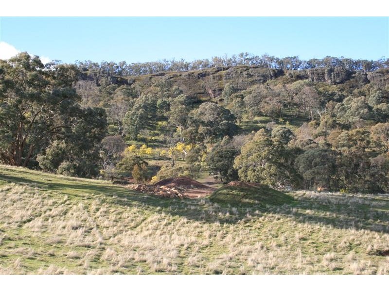 Mansfield VIC 3722