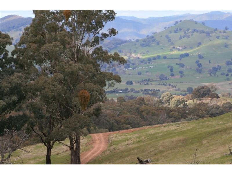 Mansfield VIC 3722