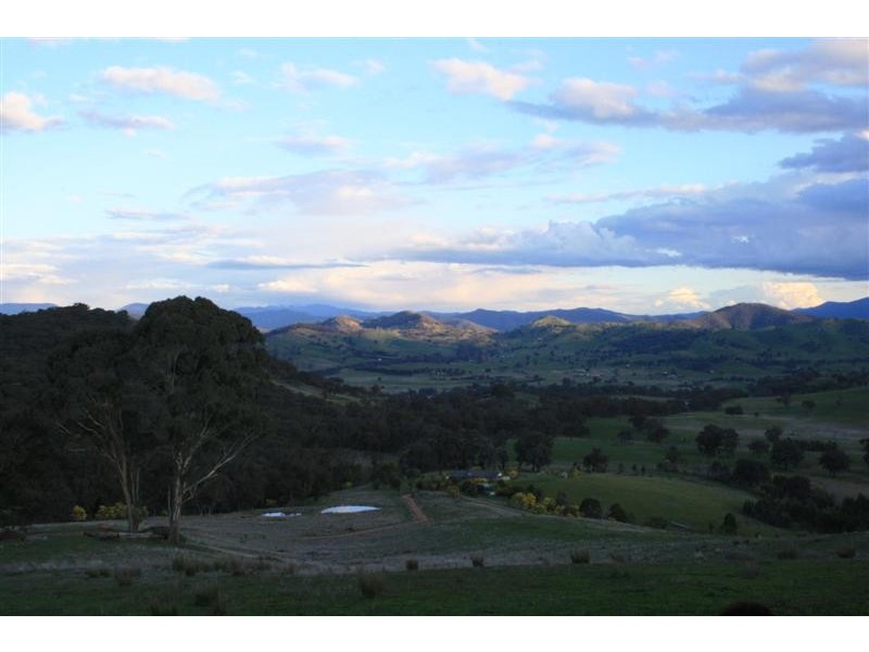 Mansfield VIC 3722