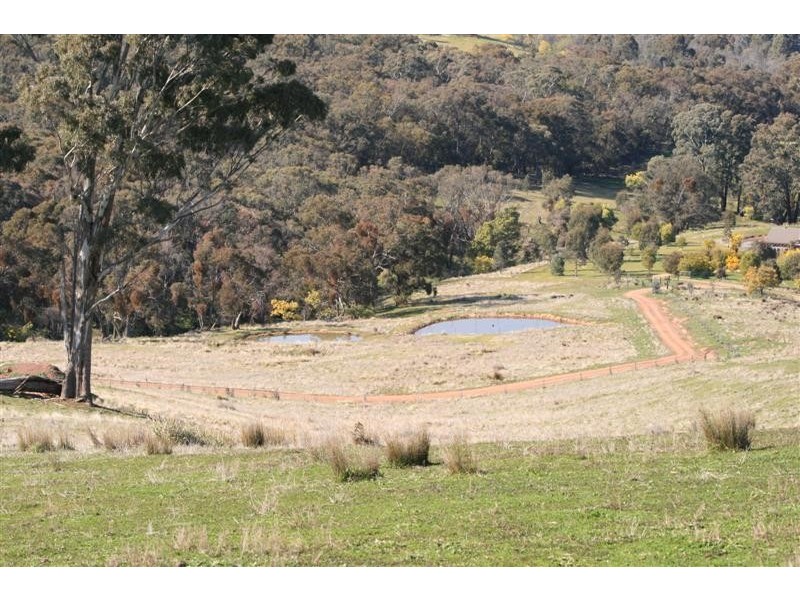 Mansfield VIC 3722