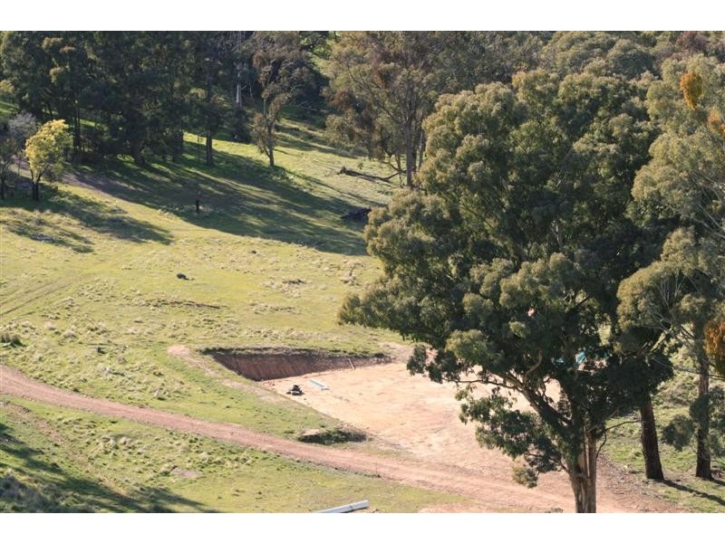 Mansfield VIC 3722