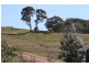 Mansfield VIC 3722