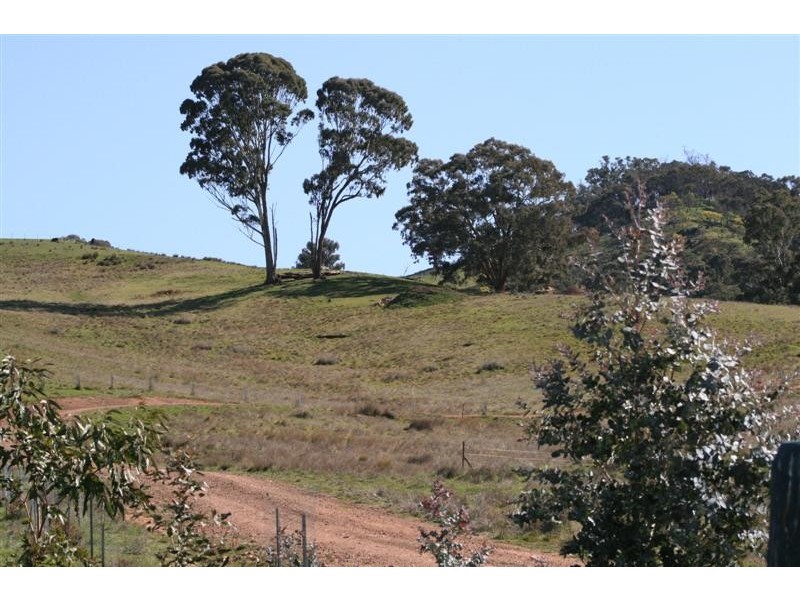 Mansfield VIC 3722