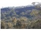 Mansfield VIC 3722