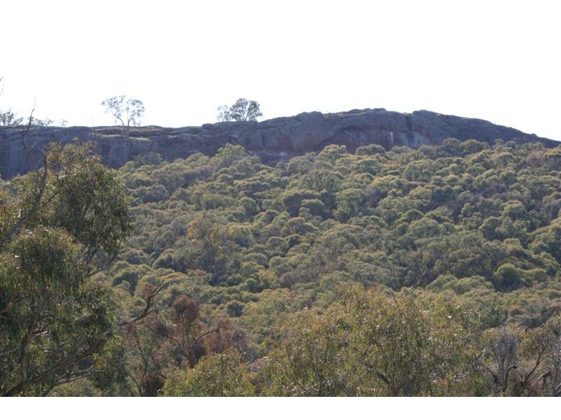 Mansfield VIC 3722