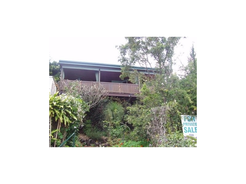 51 Collings Street, Balmoral QLD 4171