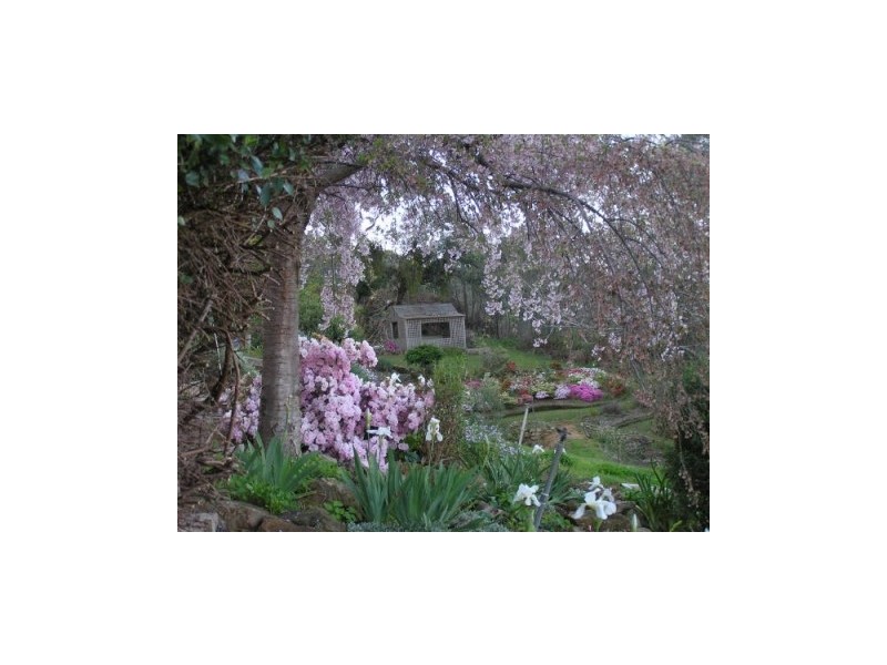 1420 Yarck Road, Gobur VIC 3719