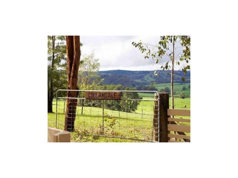 1420 Yarck Road, Gobur VIC 3719