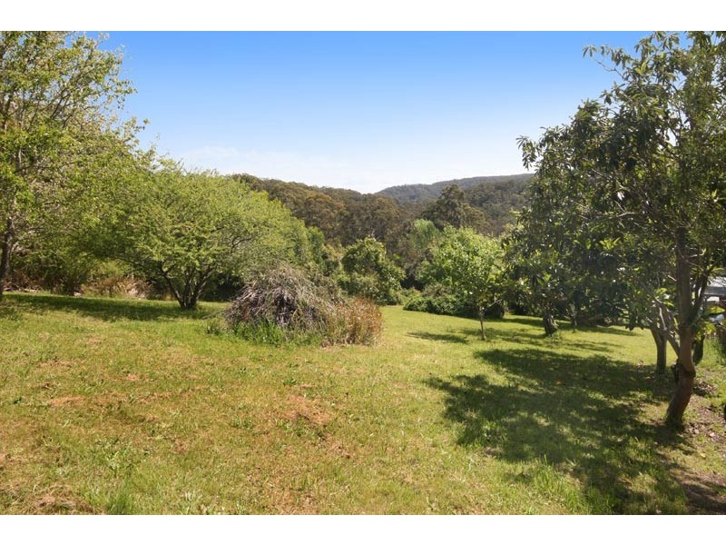 20 Hillside Road, Avoca Beach NSW 2251